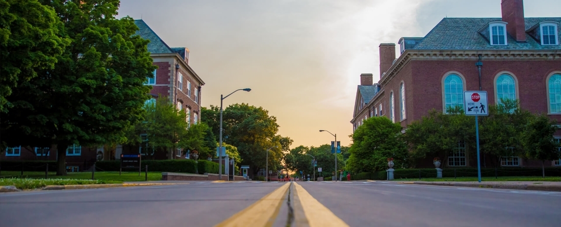Universities, photo by Dayne Topkin